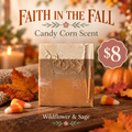 Faith In The Fall